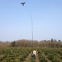 Hawk Bird Scarer with 10 meter Telescopic pole 17m/s