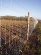 Wildlife Fence / Field Fence, 160/23/15-150m