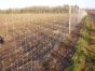 Wildlife Fence / Field Fence, 160/23/15-150m