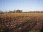 Wildlife Fence / Field Fence, 160/23/15-150m