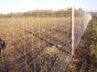 Wildlife Fence / Field Fence, 160/23/15-150m